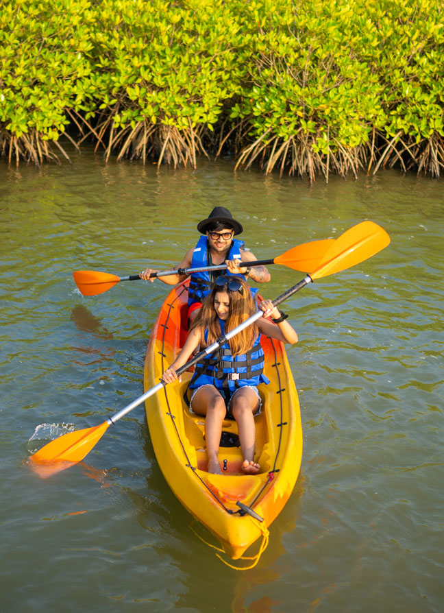 Kudru Nest Udupi Island Home Stay